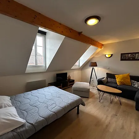 A Avec Piscine Et Wifi - Fr-1-541-198 La Roche-Posay