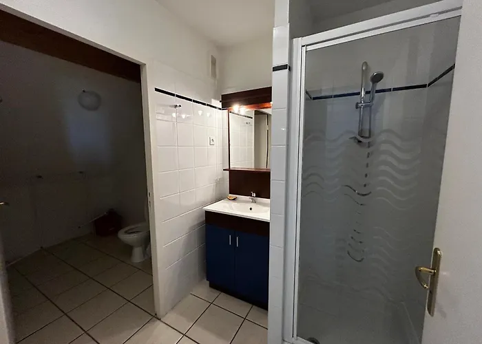 Appartement à Avec Piscine Et Wifi - Fr-1-541-198
